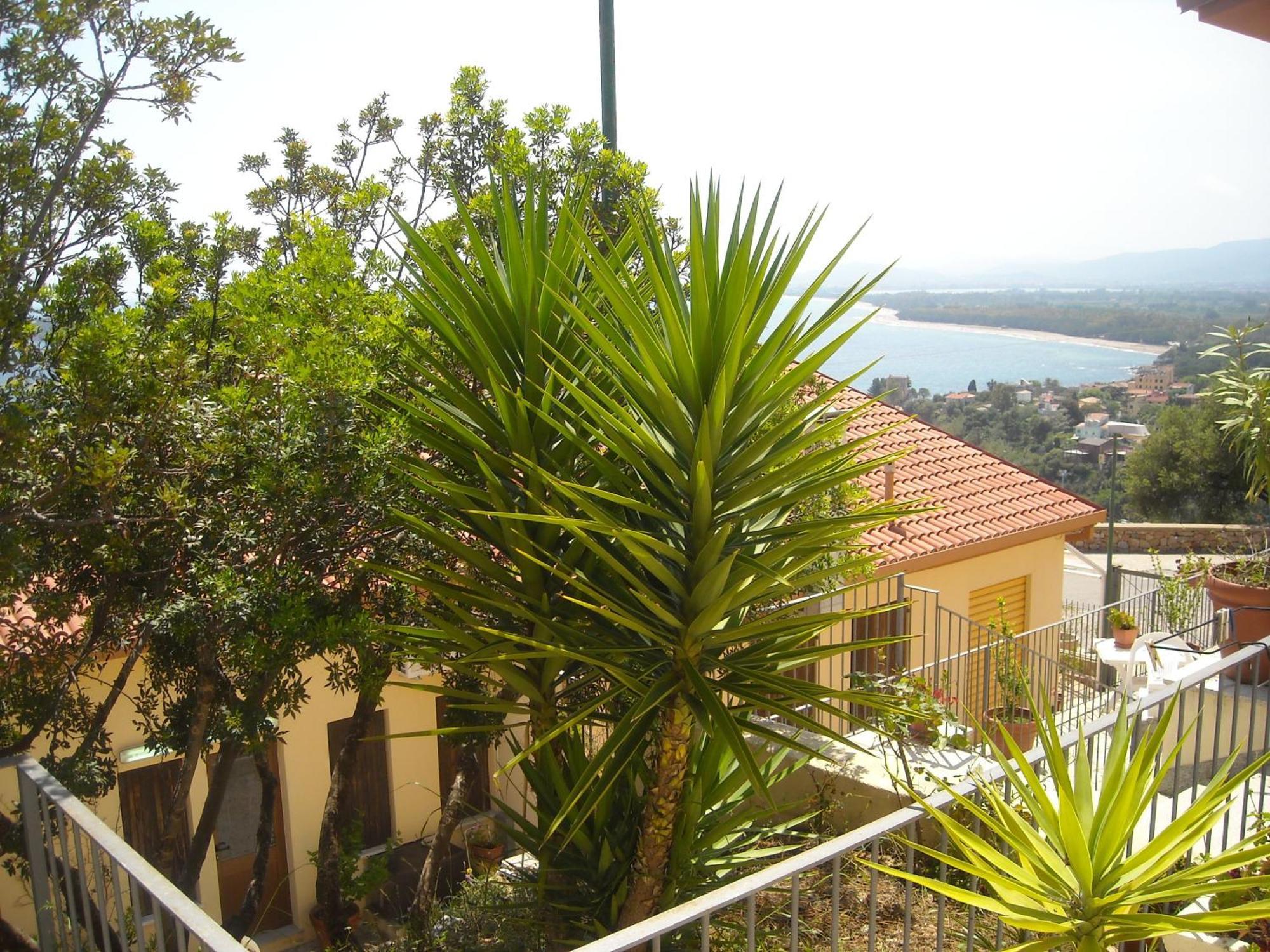 Ostello Bellavista Santa Maria Navarrese Buitenkant foto